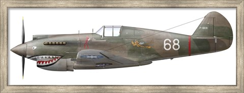 Framed Illustration of a Curtiss P40-C Warhawk of the Flying Tigers Print