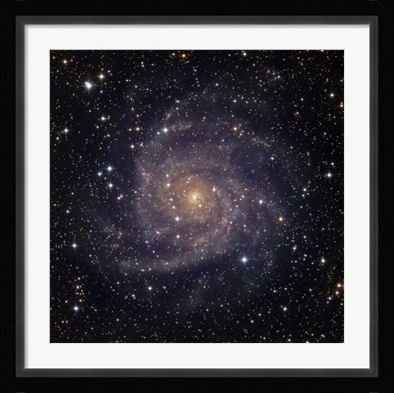 Framed IC 342, an intermediate spiral galaxy in the constellation Camelopardalis Print