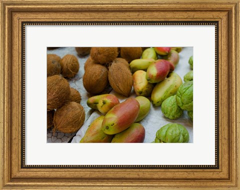 Framed Mangos and coconuts at the market on Mahe Island Print