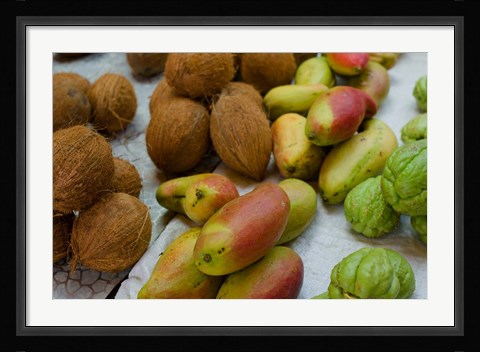 Framed Mangos and coconuts at the market on Mahe Island Print