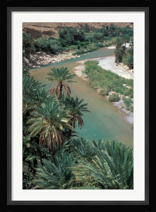 Framed Lush Palms Line the Banks of the Oued (River) Ziz, Morocco Print