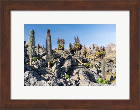Framed Landscape, Mount Kenya National Park, Kenya Print