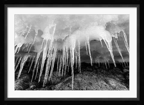 Framed Icicles hang from an ice roof, Cuverville Island, Antarctica. Print