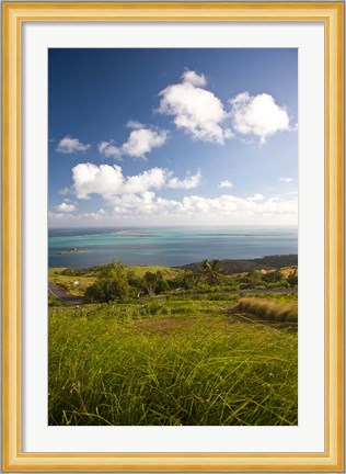 Framed Mauritius, Rodrigues, Pompee, Ile Hermitage Print