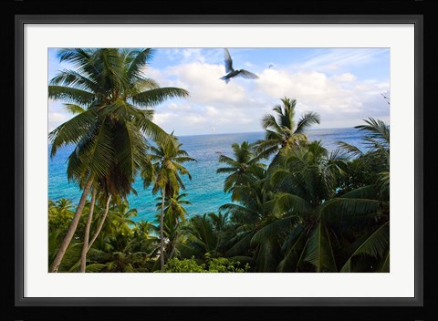 Framed Palm Trees of Anse Victorin Beach, Seychelles, Africa Print