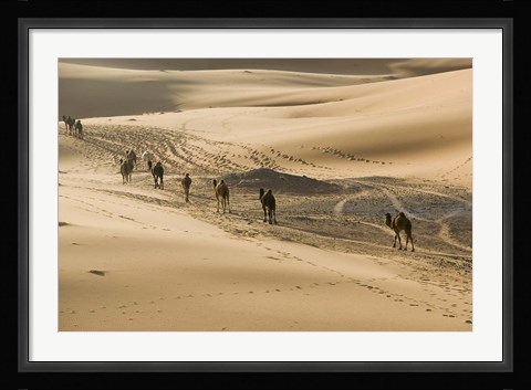 Framed MOROCCO, Tafilalt, Camel Caravan, Erg Chebbi Dunes Print