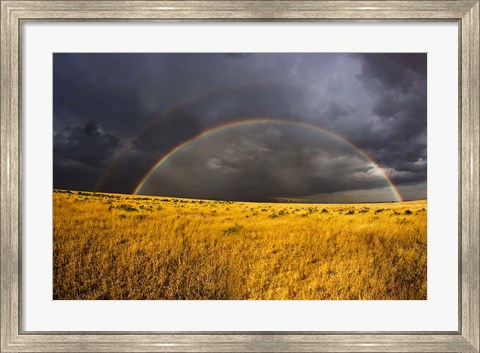 Framed Rainbow in mist, Maasai Mara Kenya Print