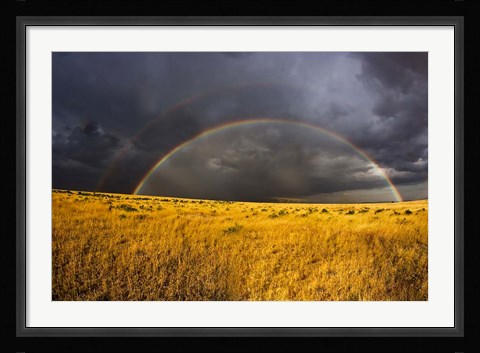 Framed Rainbow in mist, Maasai Mara Kenya Print