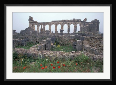 Framed Red Poppies near Basilica in Ancient Roman City, Morocco Print