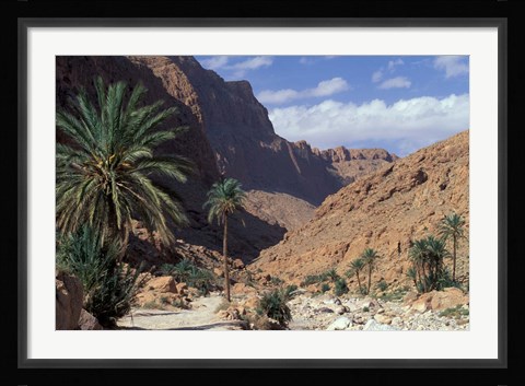 Framed Palm Trees and Creekbed Below Limestone Cliffs, Morocco Print