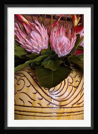 Framed Queen Protea and Heliconia, Umhlanga Rocks, Durban, Kwazulu Natal, South Africa Print