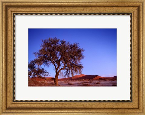 Framed Namibia, Namib Naukluft NP, Sossusvlei desert, Tree Print
