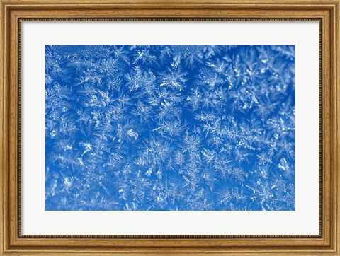 Framed Pattern of Winter Frost on Glass Print