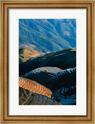 Framed Mountainside Rice Terraces, China Print