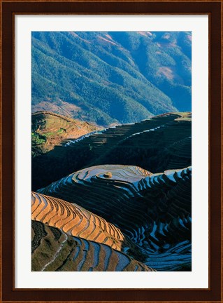 Framed Mountainside Rice Terraces, China Print