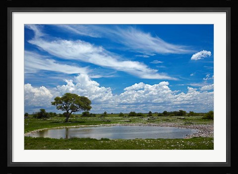 Framed Okaukuejo waterhole, Etosha National Park, Namibia Print