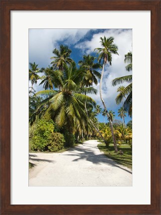 Framed Seychelles, La Digue, Palm lined country path Print