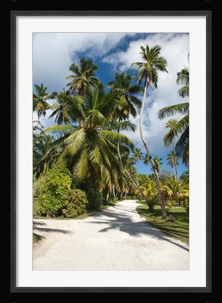 Framed Seychelles, La Digue, Palm lined country path Print
