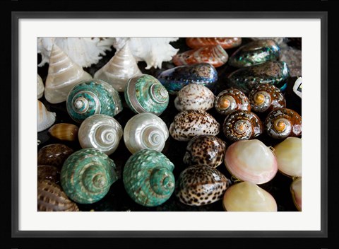 Framed Shells for sale in market, Mahe Island, Seychelles Print