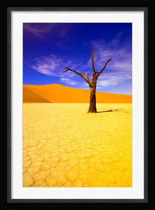 Framed Skeleton Trees in Dead Vlei, Namibia Print