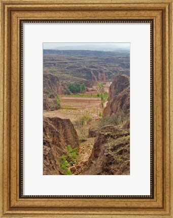 Framed Shepard, Yellow Valley cliff, Taigu, Shanxi, China Print