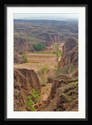 Framed Shepard, Yellow Valley cliff, Taigu, Shanxi, China Print
