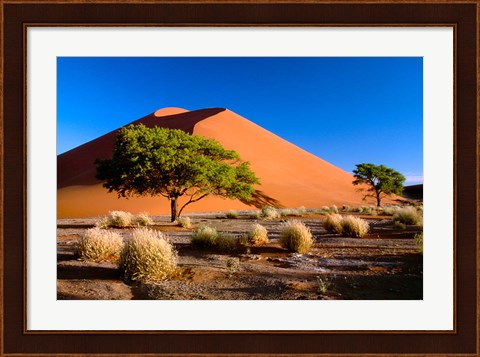 Framed Trees with Sossosvlei Dunes, Namib-Naukluff Park, Namibia Print
