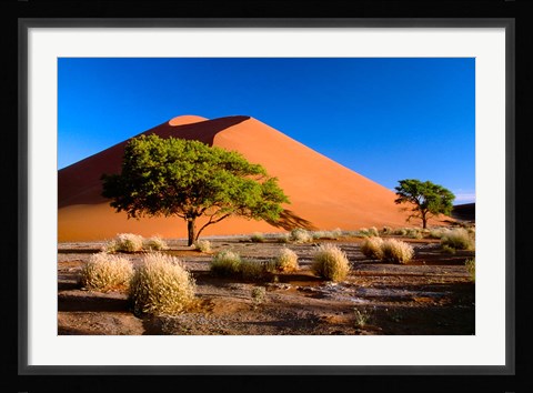 Framed Trees with Sossosvlei Dunes, Namib-Naukluff Park, Namibia Print