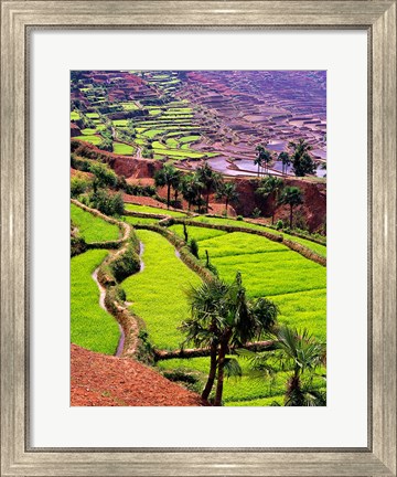 Framed Rice Terraces, Jiayin Village, Honghe, Yunnan, China Print