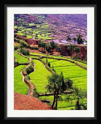 Framed Rice Terraces, Jiayin Village, Honghe, Yunnan, China Print