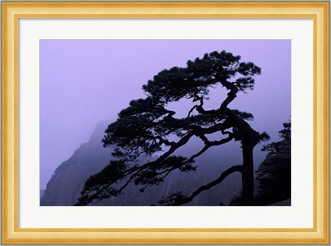 Framed Seeing Off Pine Tree on Mt Huangshan (Yellow Mountain), China Print