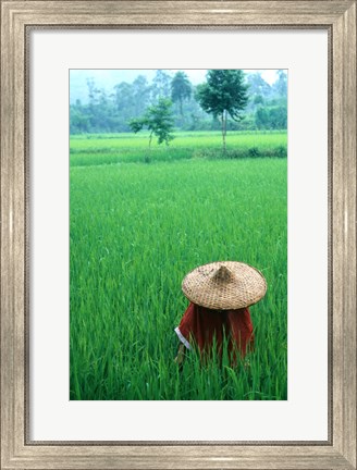 Framed Scenic of Rice Fields and Farmer on Yangtze River, China Print
