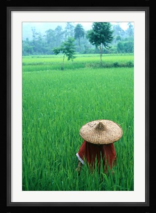 Framed Scenic of Rice Fields and Farmer on Yangtze River, China Print