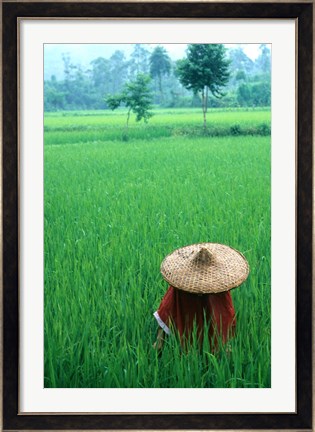Framed Scenic of Rice Fields and Farmer on Yangtze River, China Print