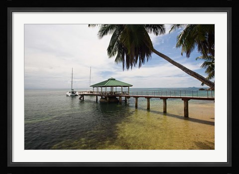 Framed Seychelles, Anse Bois de Rose, Coco de Mer, Resort Print
