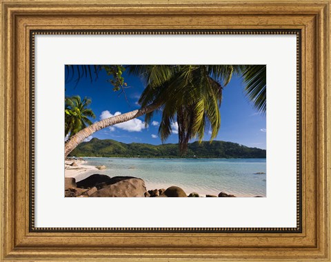 Framed Seychelles, Mahe Island, Anse a la Mouche Print