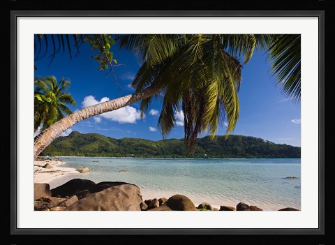 Framed Seychelles, Mahe Island, Anse a la Mouche Print