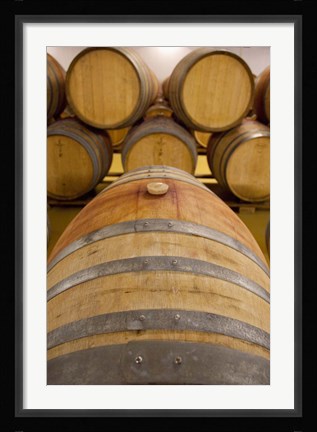 Framed South Africa, Stellenbosch, Zevenwacht Winery Print