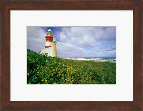 Framed South Africa, Cape Agulhas Lighthouse Print