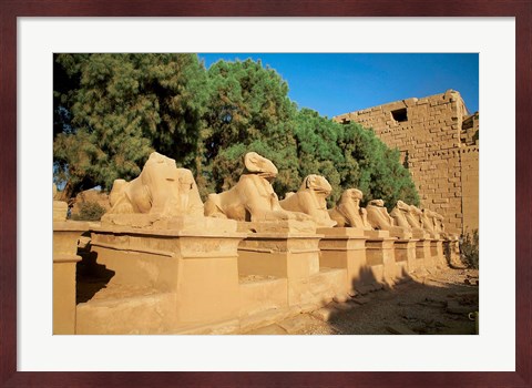 Framed Sphinxes, Temple of Karnak, Temple of Luxor, Avenue of Sphinxes, Luxor, Egypt Print