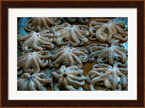 Framed Tanzania, Zanzibar, StoneTown, Darajani Market, Octopus Print