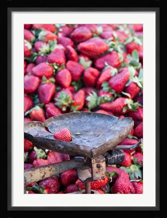 Framed Strawberries for sale in Fes medina, Morocco Print