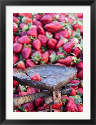 Framed Strawberries for sale in Fes medina, Morocco Print