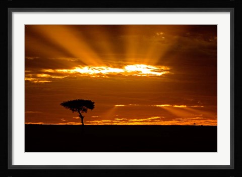 Framed Sunrise, Maasai Mara, Kenya Print