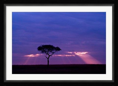 Framed Blue skies, Maasai Mara, Kenya Print