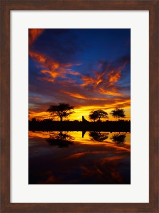 Framed Sunrise, Okaukuejo Rest Camp, Etosha National Park, Namibia Print