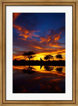 Framed Sunrise, Okaukuejo Rest Camp, Etosha National Park, Namibia Print