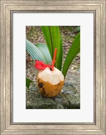 Framed Tropical cocktail drink on Fregate Island, Seychelles Print