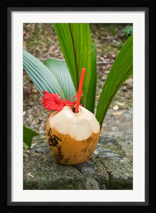 Framed Tropical cocktail drink on Fregate Island, Seychelles Print