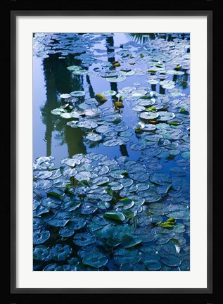 Framed Villa Pond, Jardin Majorelle and Museum of Islamic Art, Marrakech, Morocco Print